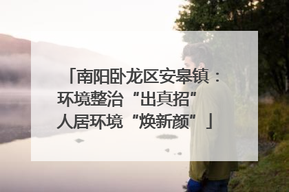 南阳卧龙区安皋镇：环境整治“出真招” 人居环境“焕新颜”