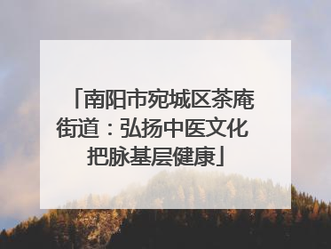 南阳市宛城区茶庵街道：弘扬中医文化 把脉基层健康