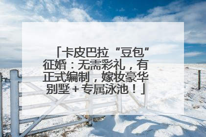 卡皮巴拉“豆包”征婚：无需彩礼，有正式编制，嫁妆豪华别墅＋专属泳池！