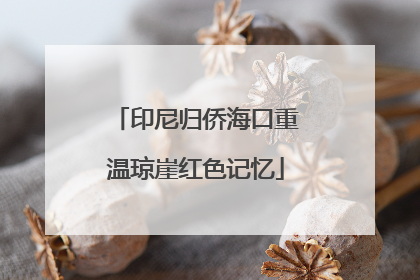 印尼归侨海口重温琼崖红色记忆