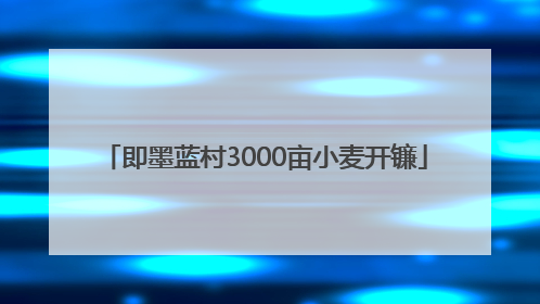 即墨蓝村3000亩小麦开镰