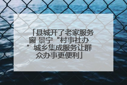 县城开了老家服务窗 景宁“村事社办”城乡集成服务让群众办事更便利