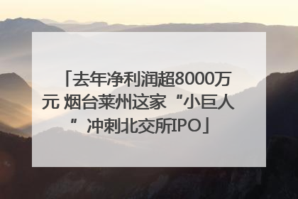 去年净利润超8000万元 烟台莱州这家“小巨人”冲刺北交所IPO