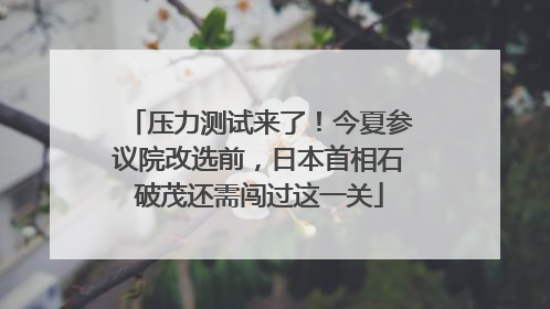 压力测试来了！今夏参议院改选前，日本首相石破茂还需闯过这一关