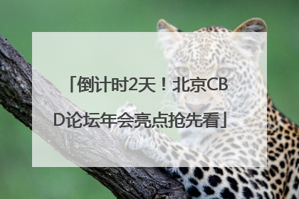 倒计时2天！北京CBD论坛年会亮点抢先看