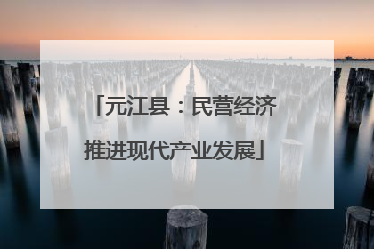 元江县：民营经济推进现代产业发展