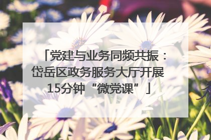 党建与业务同频共振：岱岳区政务服务大厅开展15分钟“微党课”