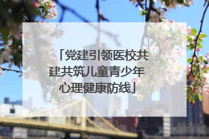 党建引领医校共建共筑儿童青少年心理健康防线