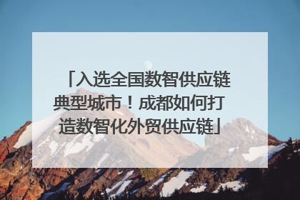 入选全国数智供应链典型城市！成都如何打造数智化外贸供应链