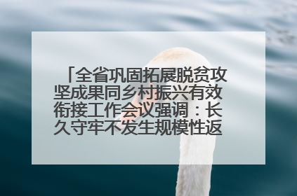 全省巩固拓展脱贫攻坚成果同乡村振兴有效衔接工作会议强调：长久守牢不发生规模性返贫致贫底线 王宁出席并讲话 王予波主持