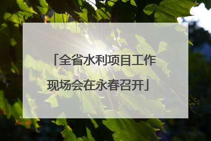 全省水利项目工作现场会在永春召开