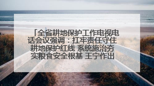 全省耕地保护工作电视电话会议强调：扛牢责任守住耕地保护红线 系统施治夯实粮食安全根基 王宁作出批示 王予波出席并讲话