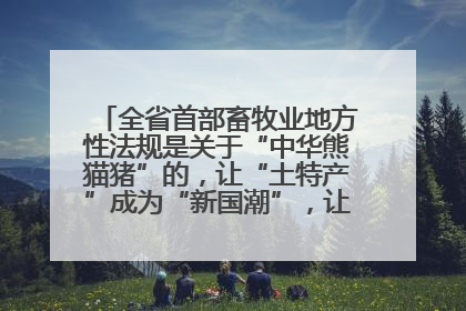 全省首部畜牧业地方性法规是关于“中华熊猫猪”的，让“土特产”成为“新国潮”，让“农产品”升格为“城市IP”