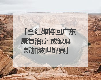 全红婵将回广东康复治疗 或缺席新加坡世锦赛