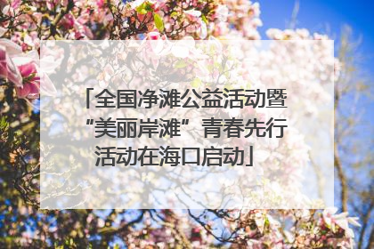 全国净滩公益活动暨“美丽岸滩”青春先行活动在海口启动