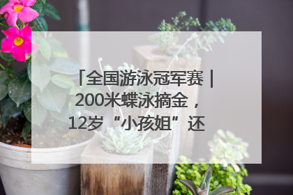 全国游泳冠军赛｜200米蝶泳摘金，12岁“小孩姐”还能制造多少惊喜？