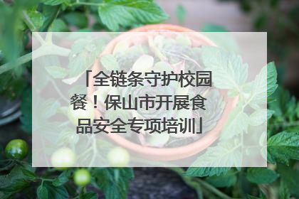 全链条守护校园餐！保山市开展食品安全专项培训