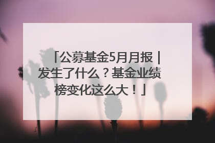 公募基金5月月报｜发生了什么？基金业绩榜变化这么大！