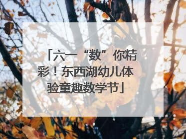 六一“数”你精彩！东西湖幼儿体验童趣数学节
