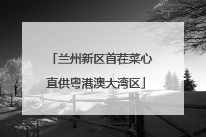 兰州新区首茬菜心直供粤港澳大湾区