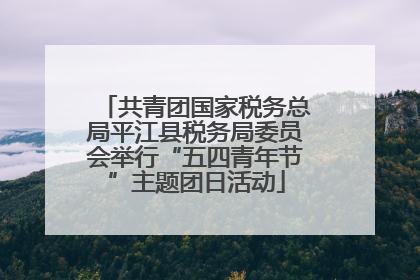 共青团国家税务总局平江县税务局委员会举行“五四青年节”主题团日活动