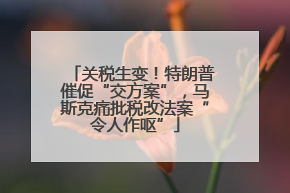 关税生变！特朗普催促“交方案”，马斯克痛批税改法案“令人作呕”