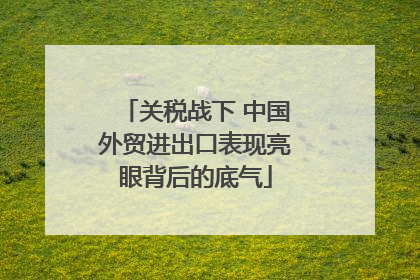 关税战下 中国外贸进出口表现亮眼背后的底气