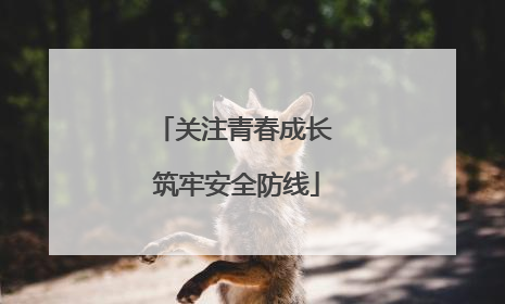 关注青春成长 筑牢安全防线