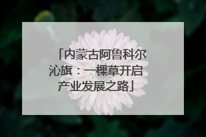内蒙古阿鲁科尔沁旗：一棵草开启产业发展之路