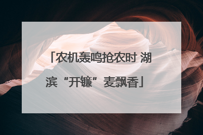 农机轰鸣抢农时 湖滨“开镰”麦飘香