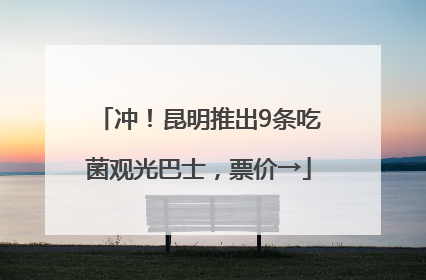 冲！昆明推出9条吃菌观光巴士，票价→