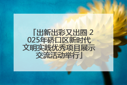 出新出彩又出圈 2025年硚口区新时代文明实践优秀项目展示交流活动举行