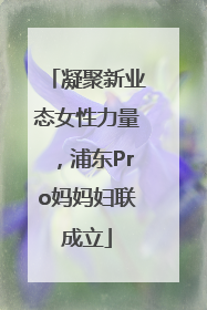 凝聚新业态女性力量，浦东Pro妈妈妇联成立