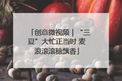创意微视频｜“三夏”大忙正当时 麦浪滚滚穗飘香