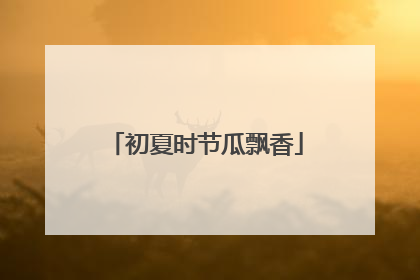 初夏时节瓜飘香
