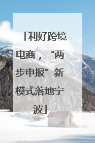利好跨境电商，“两步申报”新模式落地宁波