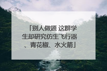 别人做题 这群学生却研究仿生飞行器、青花椒、水火箭
