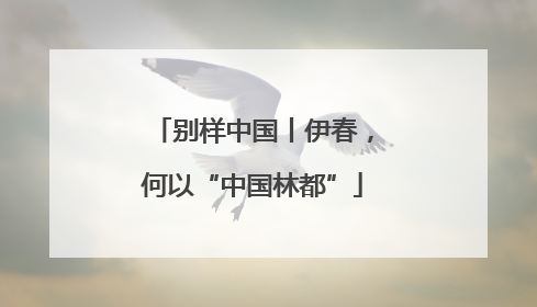别样中国丨伊春，何以“中国林都”