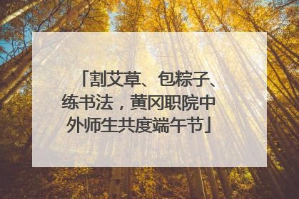 割艾草、包粽子、练书法，黄冈职院中外师生共度端午节