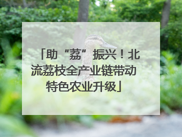 助“荔”振兴！北流荔枝全产业链带动特色农业升级