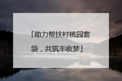 助力帮扶村桃园套袋，共筑丰收梦