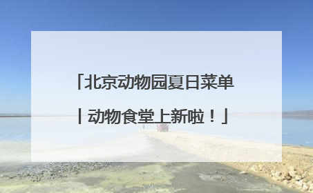北京动物园夏日菜单丨动物食堂上新啦！
