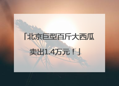 北京巨型百斤大西瓜卖出1.4万元！