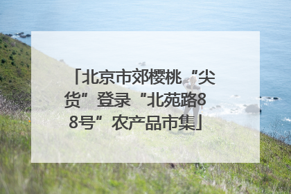 北京市郊樱桃“尖货”登录“北苑路88号”农产品市集