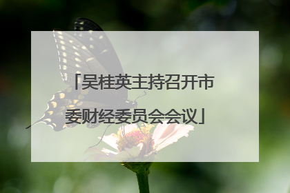 吴桂英主持召开市委财经委员会会议