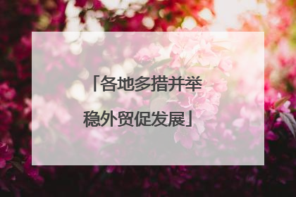 各地多措并举稳外贸促发展