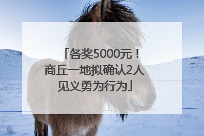 各奖5000元！商丘一地拟确认2人见义勇为行为