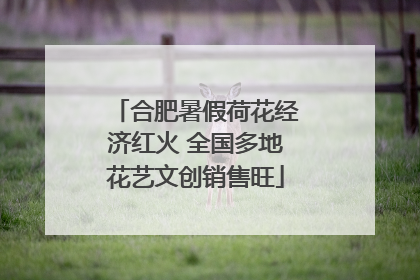 合肥暑假荷花经济红火 全国多地花艺文创销售旺