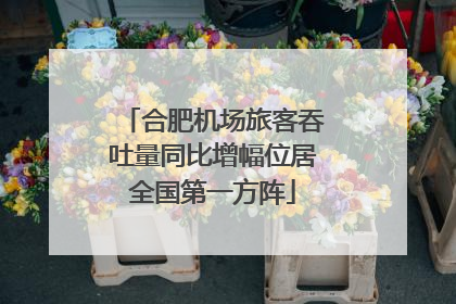 合肥机场旅客吞吐量同比增幅位居全国第一方阵