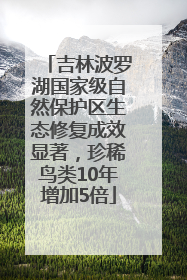 吉林波罗湖国家级自然保护区生态修复成效显著，珍稀鸟类10年增加5倍